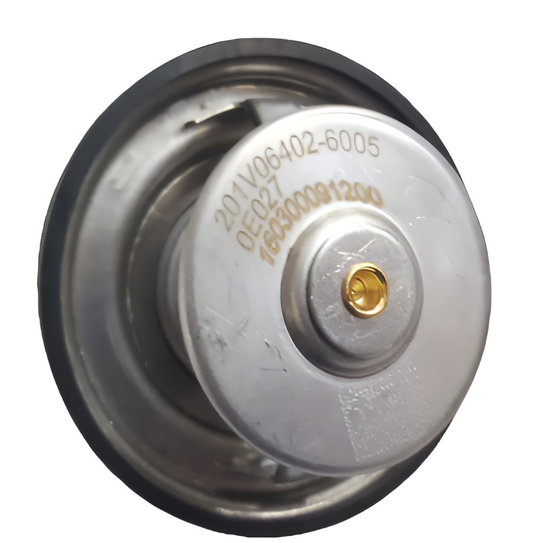 THERMOSTAT - 201V06402-6005