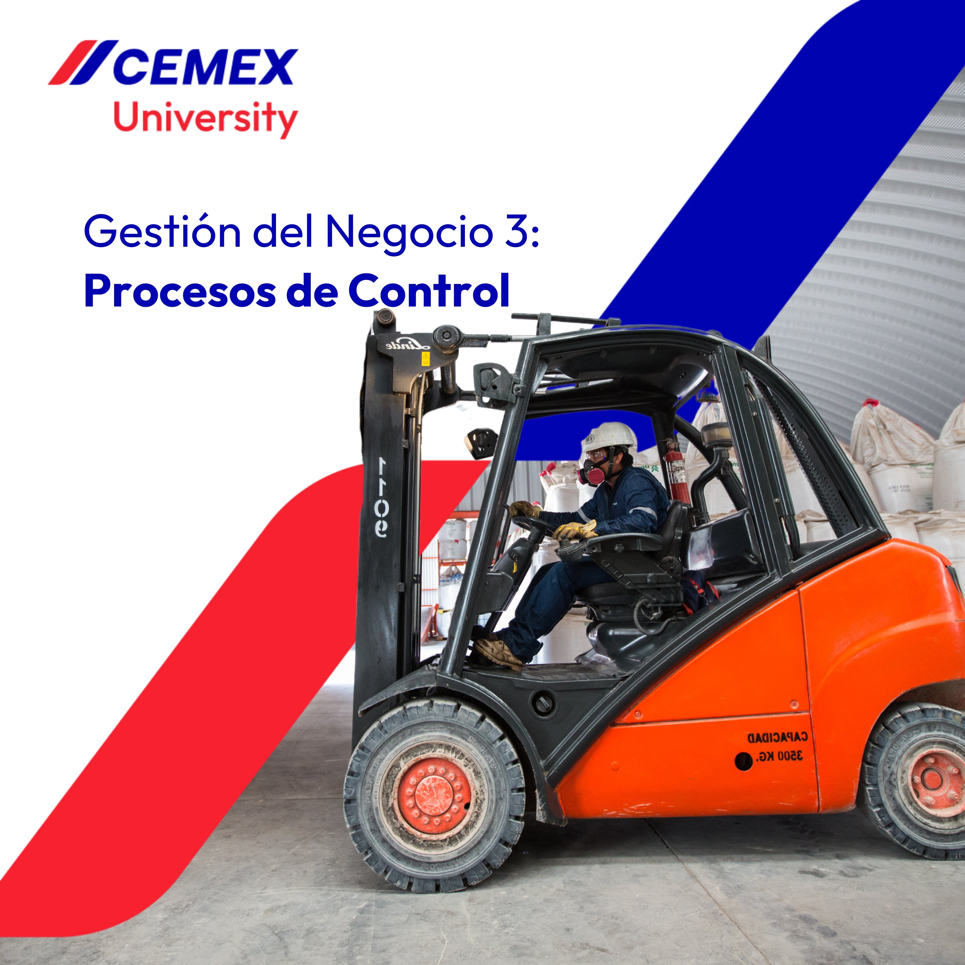 Gestión del Negocio Módulo 3: Procesos de Control