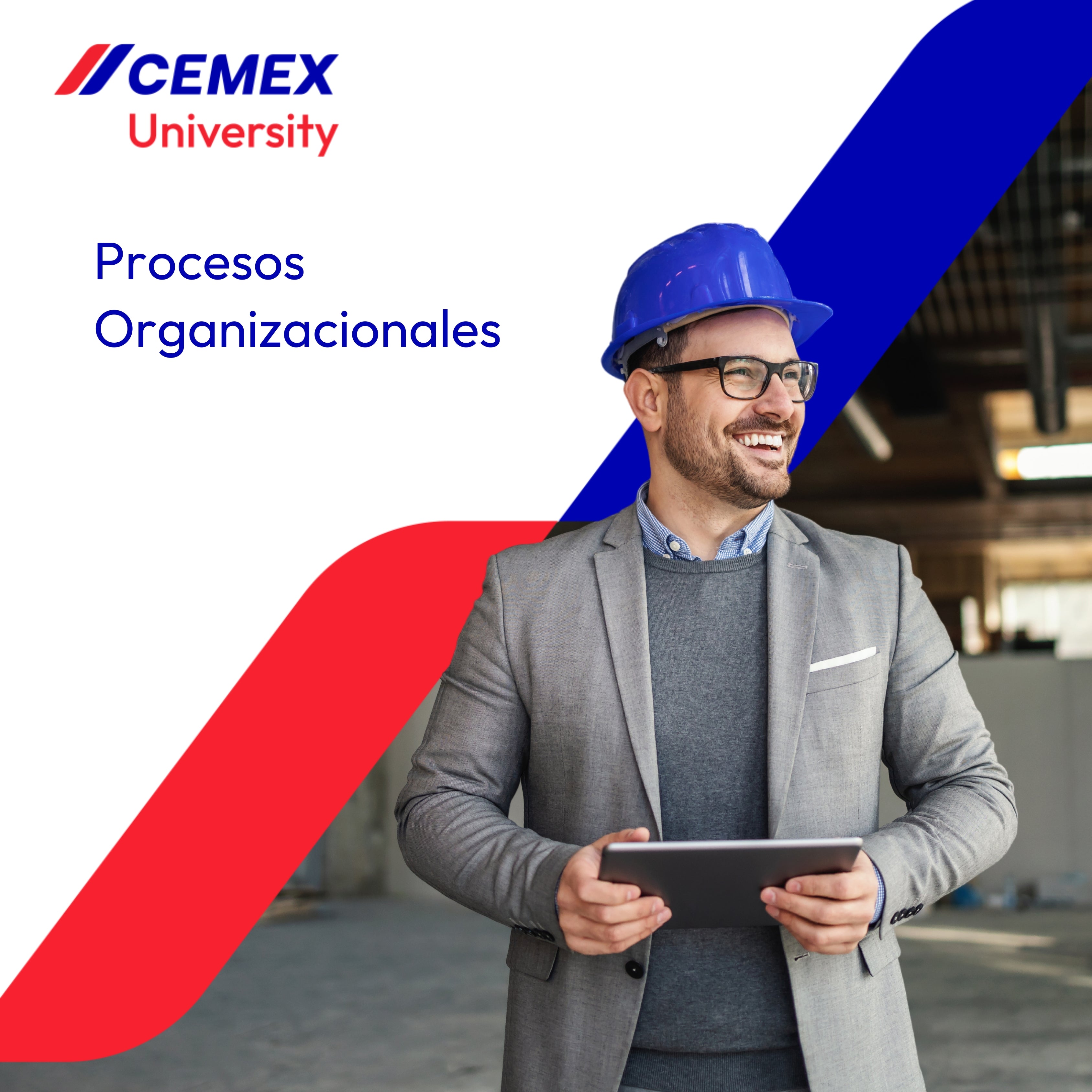 Curso de Procesos Organizacionales