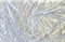 Fibramix Meso Fibra Estructural